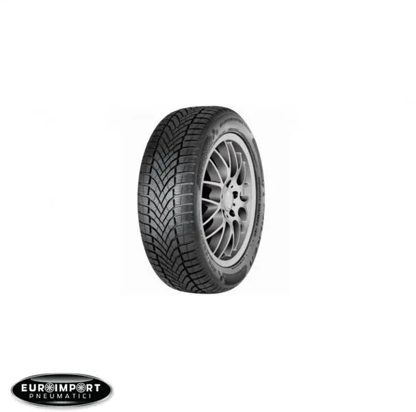 Falken EUROWINTER HS02  205/50 R16 91 H  XL  TL BORDINO